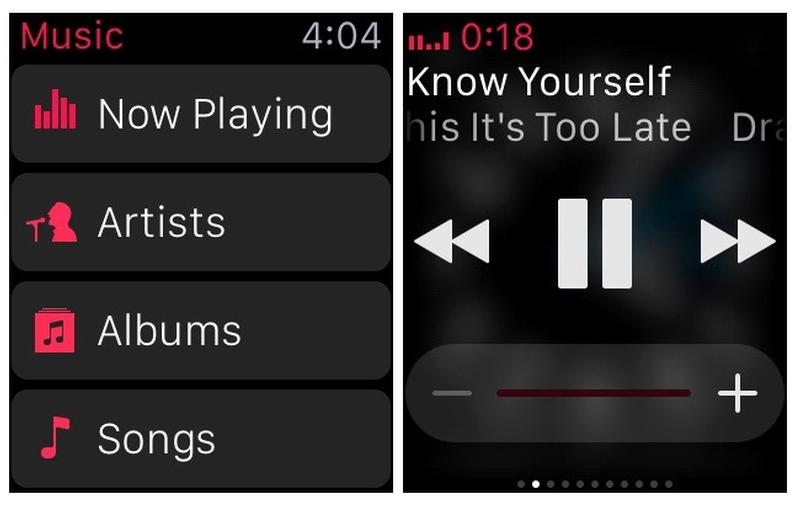 Control Spotify using your Apple Watch