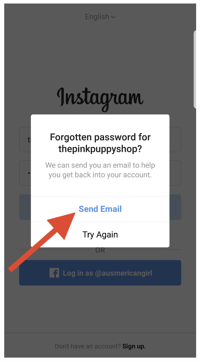 instagram-wrong-password-message