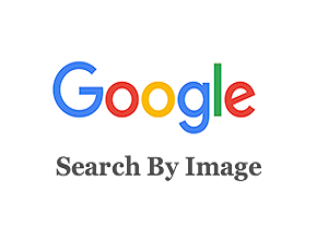 Google Reverse Image Search (search by image)