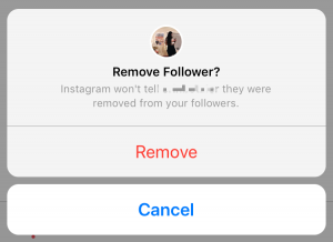 remove fake instagram followers