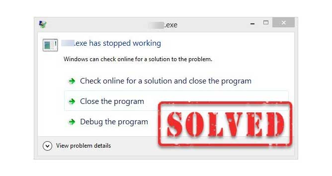 program stopped error