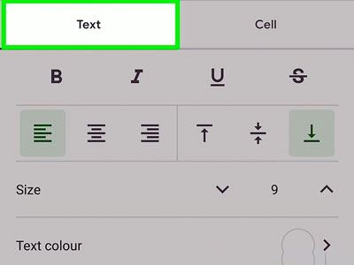 برای فرمت متن از گزینه های موجود در تب Text استفاده کنید.