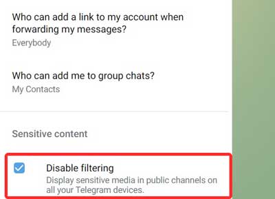 گزینه «Disable filtering» را در تنظیمات وب تلگرام روشن/فعال کنید