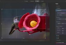 7 بهترین برنامه تغییر پس زمینه عکس (حرفه ای آتلیه)