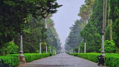 سواحل رامسر و محمودآباد